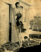Niños Niños