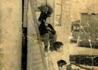 Niños Niños