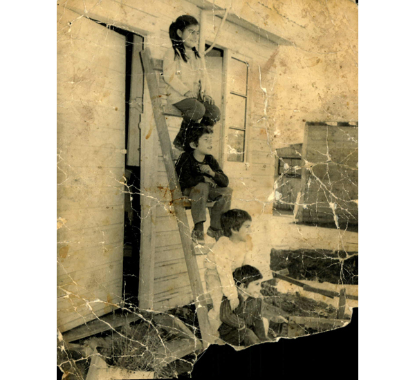 Niños Niños