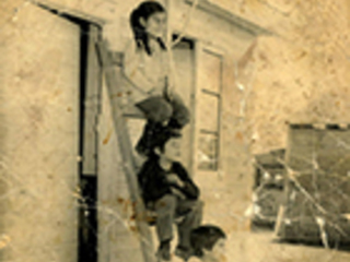 Niños Niños