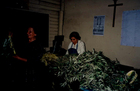 Actividades de Semana Santa Actividades de Semana Santa