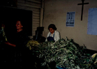 Actividades de Semana Santa Actividades de Semana Santa