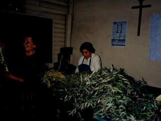 Actividades de Semana Santa