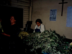 Actividades de Semana Santa