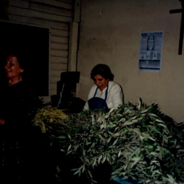 Actividades de Semana Santa