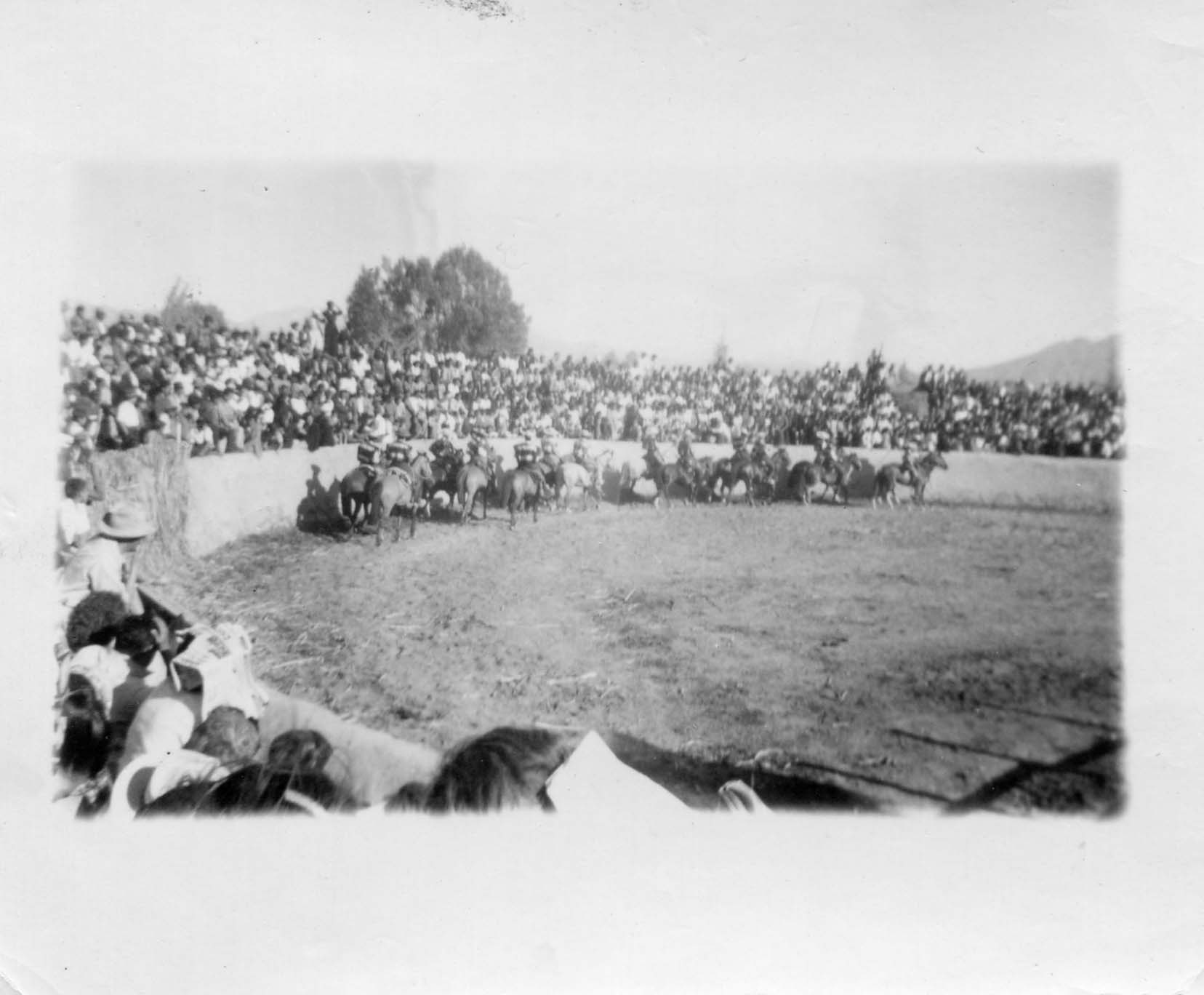 Rodeo en La Pampilla de Coquimbo Rodeo en La Pampilla de Coquimbo