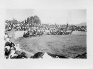 Rodeo en La Pampilla de Coquimbo Rodeo en La Pampilla de Coquimbo