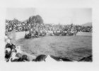 Rodeo en La Pampilla de Coquimbo