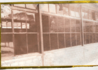 Escuela 402 Escuela 402