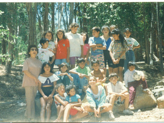 Paseo de fin de año al bosque Tamelcura