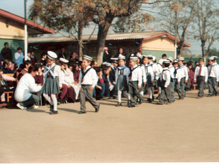 Desfile escolar