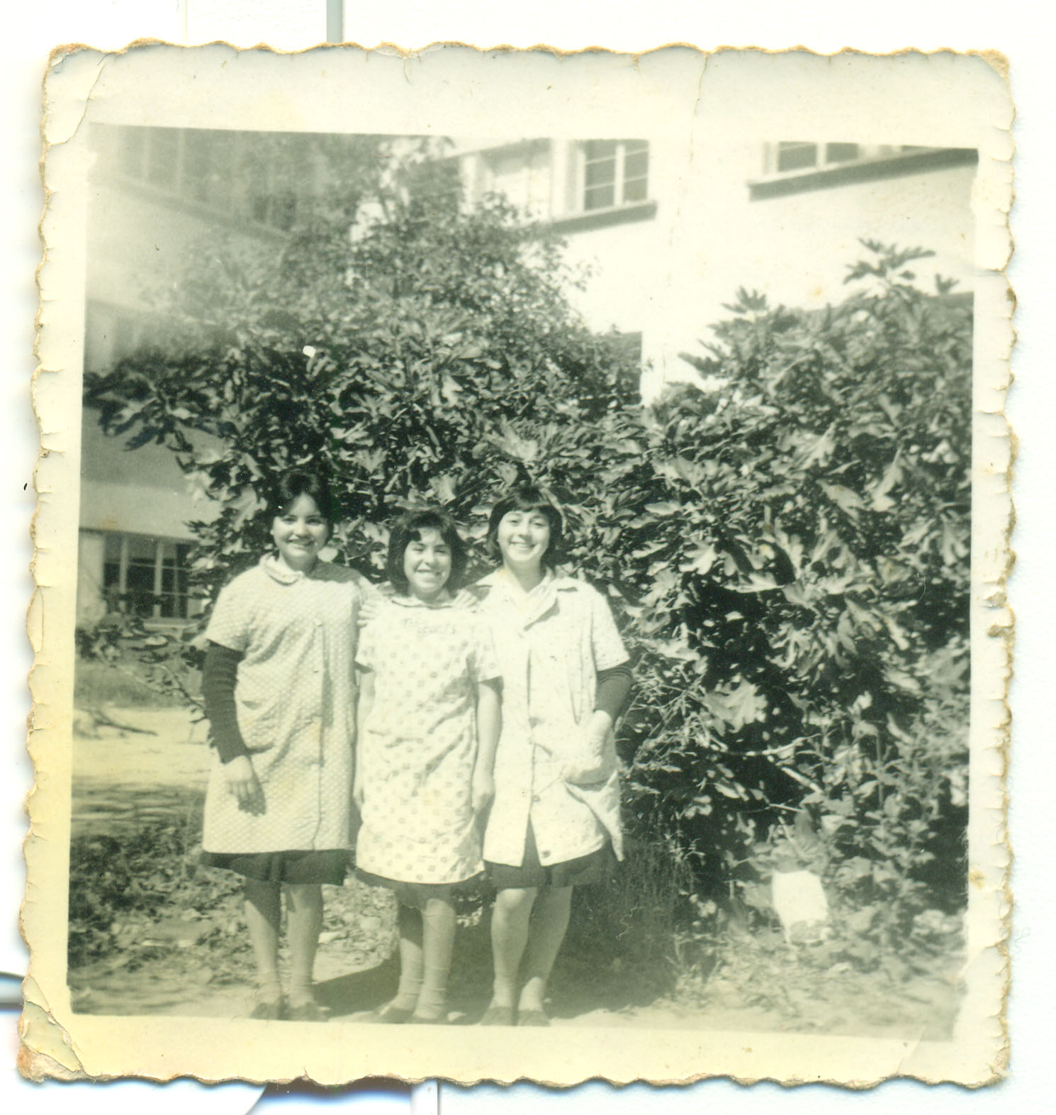Recreo en el Liceo de Niñas de La Serena Recreo en el Liceo de Niñas de La Serena