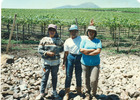 Temporeras agrícolas de uva de exportación