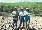 Temporeras agrícolas de uva de exportación Temporeras agrícolas de uva de exportación
