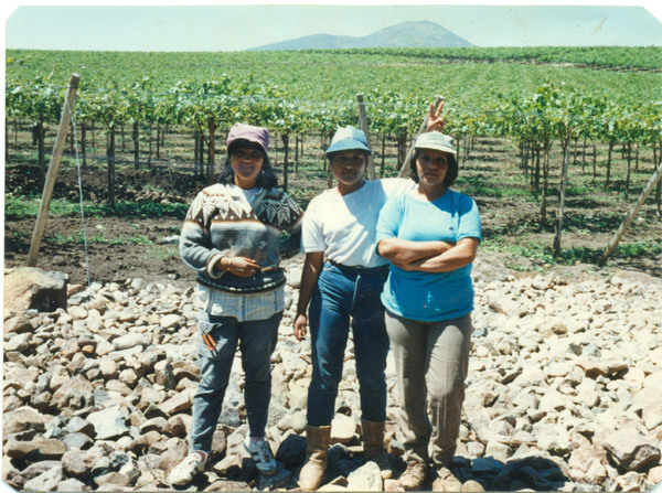 Temporeras agrícolas de uva de exportación