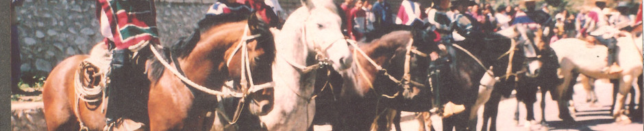 Desfile de fiestas patrias