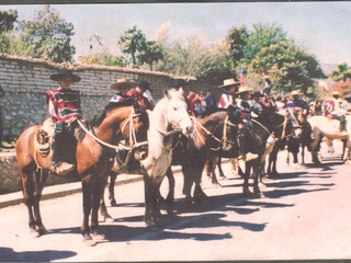 Desfile de fiestas patrias