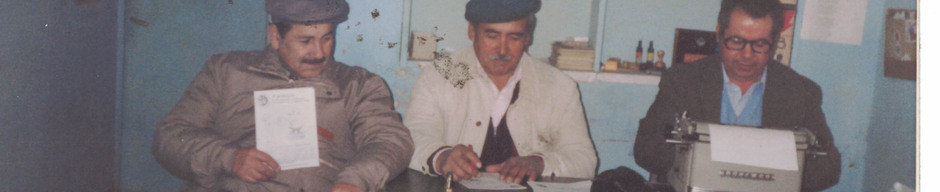 Integrantes de un sindicato de trabajadores Integrantes de un sindicato de trabajadores