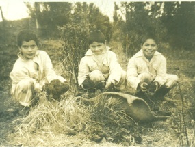 Trabajo en la huerta escolar