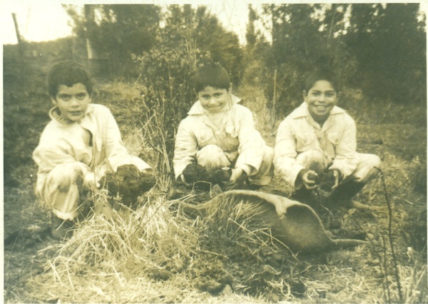 Trabajo en la huerta escolar