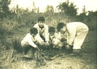 Alumnos de la Escuela de  Choroihue