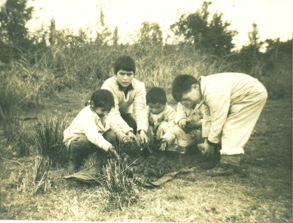 Alumnos de la Escuela de  Choroihue