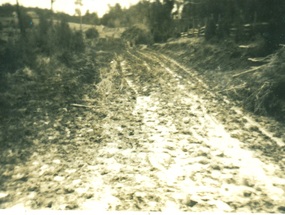 Camino a la Escuela de Choroihue