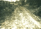 Camino a la Escuela de Choroihue