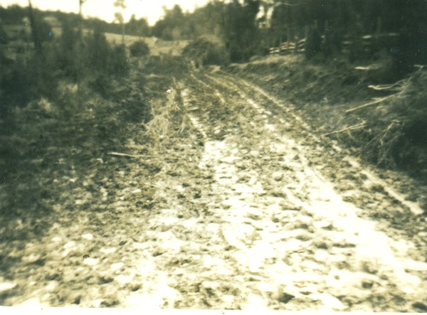 Camino a la Escuela de Choroihue