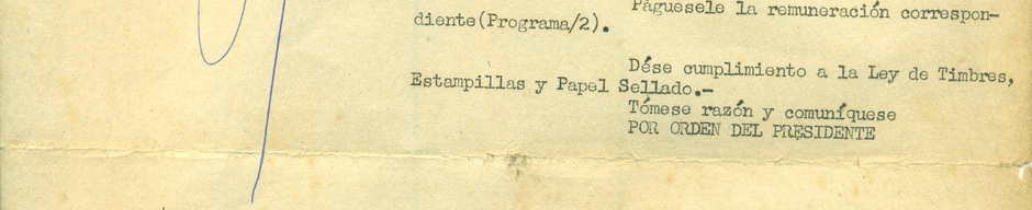 Designación de directora