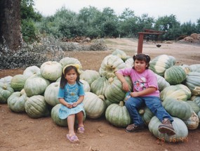 Cosecha de zapallo en La Cantera