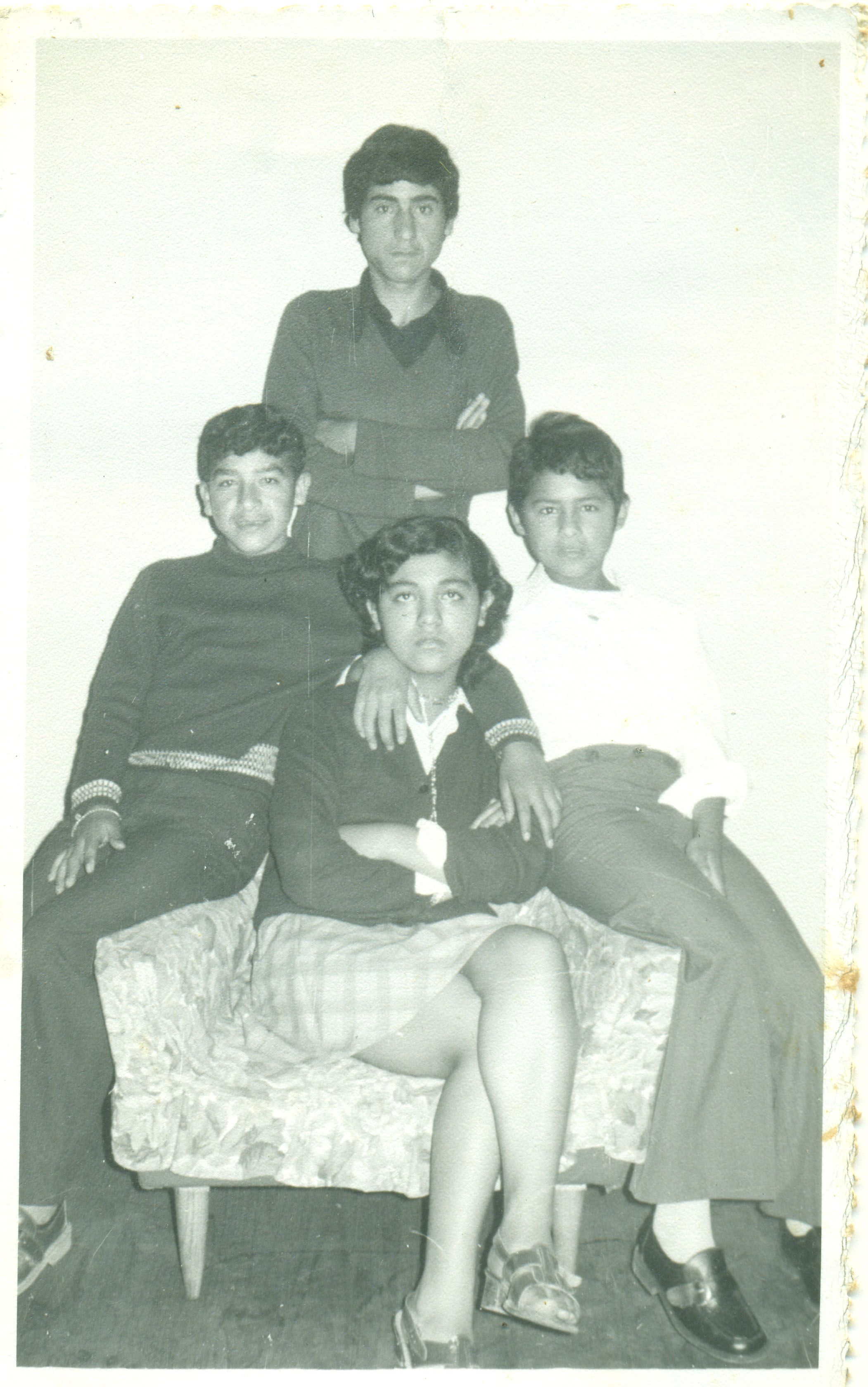 Primos de la familia Zambra Primos de la familia Zambra