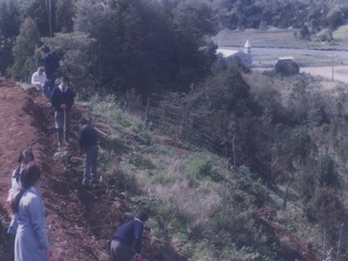 Platabandas en la Escuela Rural Montemar