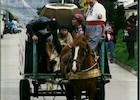 Concurso del Día de los Pioneros Concurso del Día de los Pioneros