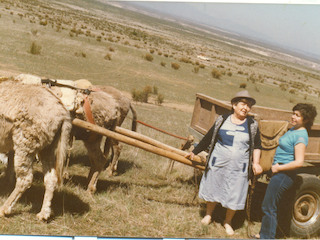 Pampilla en Guanaqueros