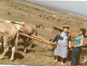 Pampilla en Guanaqueros