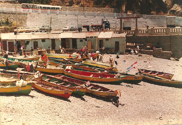 Caleta Portales Caleta Portales