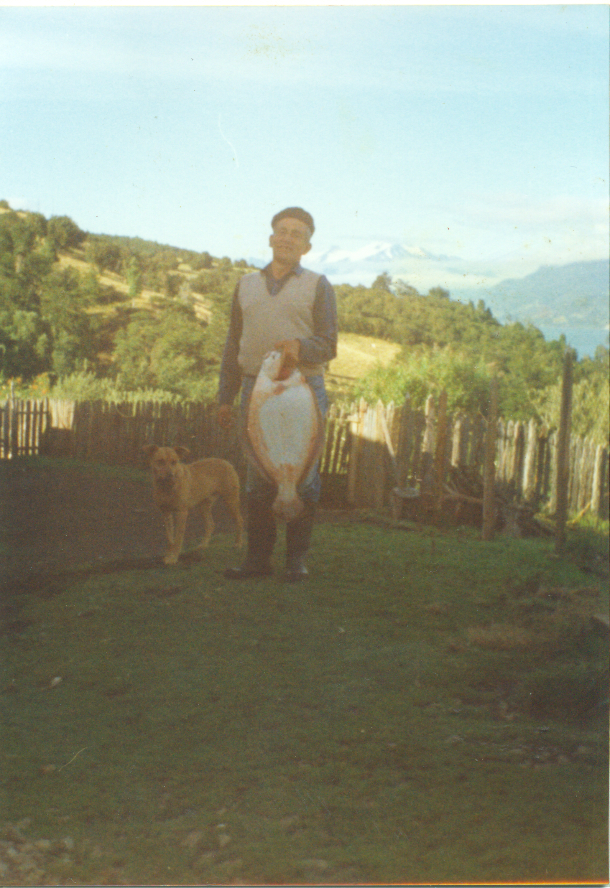 Aladino Soto Aladino Soto