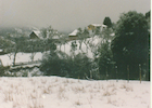 Nieve en El Bosque Nieve en El Bosque
