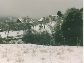 Nieve en El Bosque