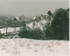 Nieve en El Bosque Nieve en El Bosque