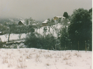 Nieve en El Bosque