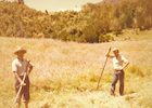 Corte de pasto en el campo