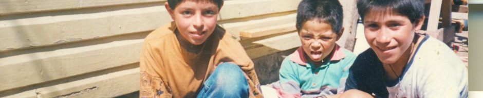 Niños alimentando a los conejos