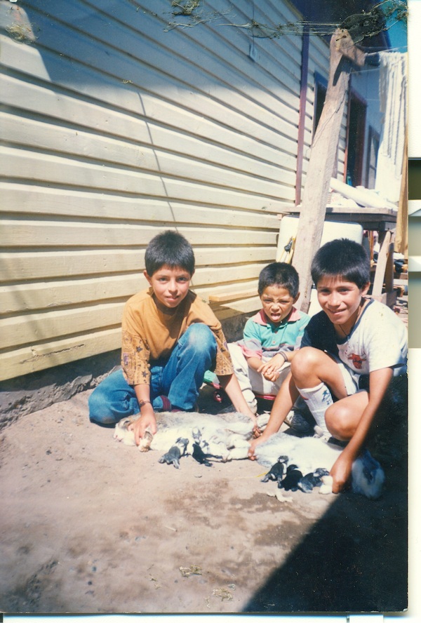 Niños alimentando a los conejos