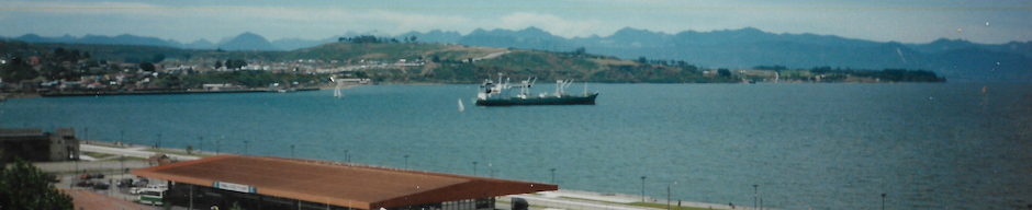 Terminal de buses de Puerto Montt