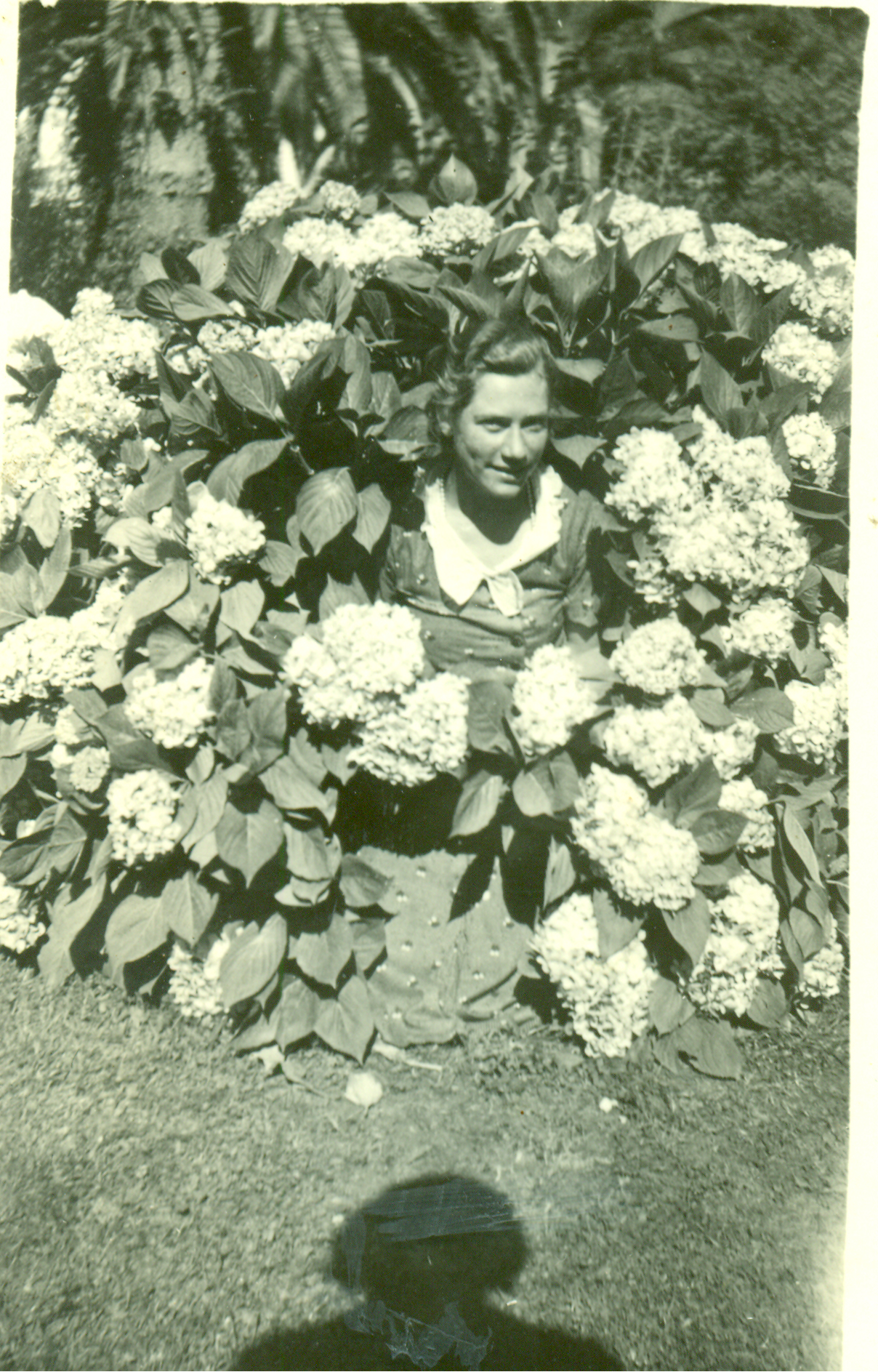 Carlota Trautmann Hoelck Carlota Trautmann Hoelck