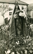 Fiesta de la virgen del Rosario Fiesta de la virgen del Rosario
