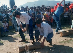 Juegos Campesinos Rurales