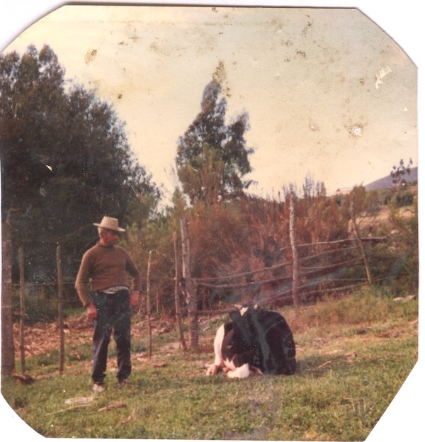 Germán Salinas en el fundo Lo Marín Germán Salinas en el fundo Lo Marín